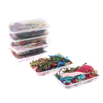 1 Кутия за Недвижими Mix Сухи Цветя за Смола Бижута Сухи Растения Пресовани Цветя Производство на Занаяти САМ Аксесоари