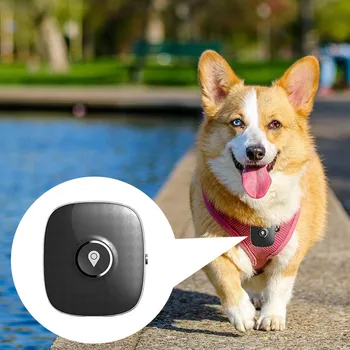 4g Dog е GPS Tracker Waterproof Пет Cat Anti-Lost Location Tracking Mini Smart Collar GPS Device with Electric Fence Dropshipping